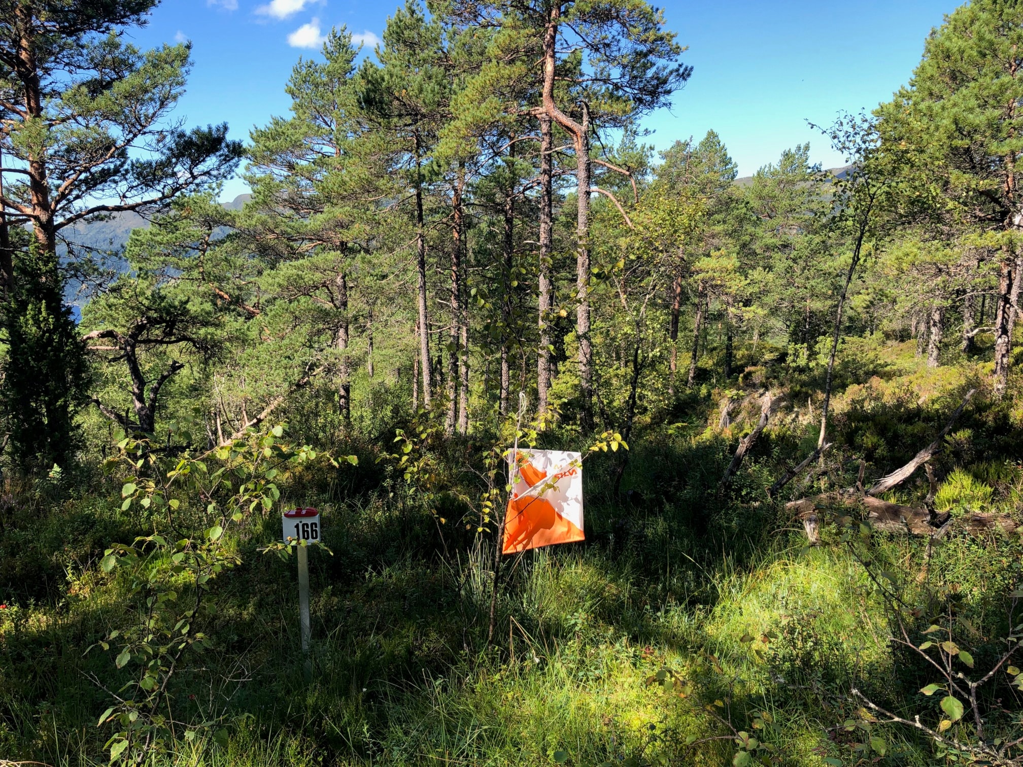 Nærløp Kråkenesmarka